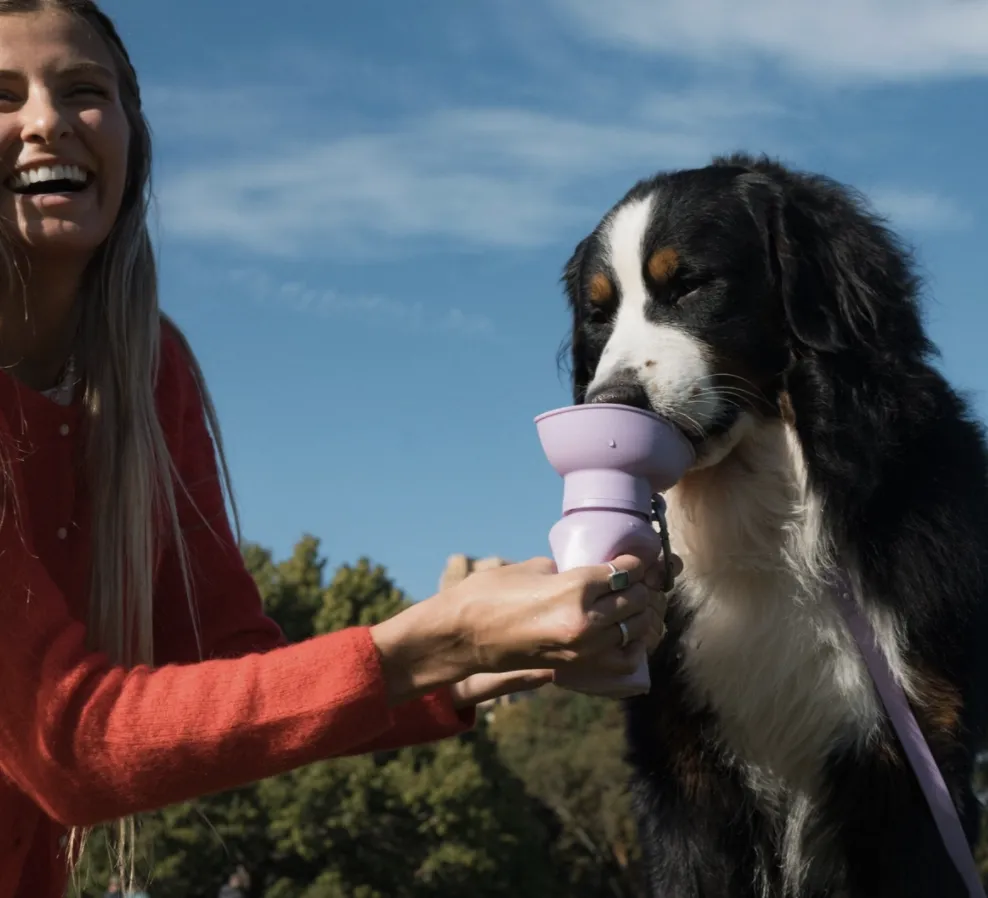 Flip Top Dog Water Bottle Travel Walk